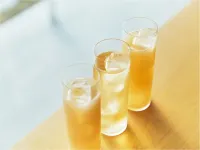 쇼나이 호텔 스이덴 테라스 - 바