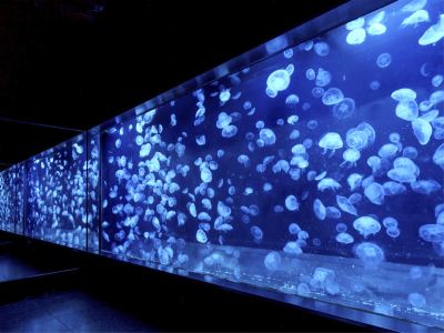 その他 ホテルサンバレー伊豆長岡 本館の写真