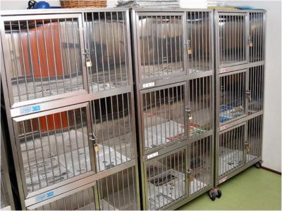 その他 ホテルサンバレー伊豆長岡 本館の写真