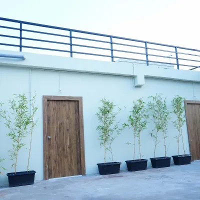Homey Meadows - Vizag Beach Hotels near MVP Colony
