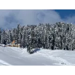 Gulmarg Ski Hill Resort Hotel a Gulmarg