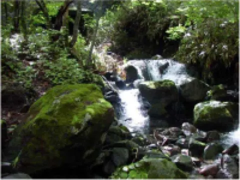 Auberge de Vallee Blanche
