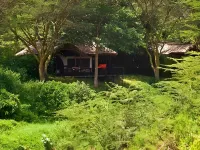 Basecamp Masai Mara Hotels in 