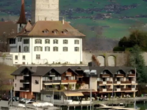 Hotel-Restaurant Seegarten-Marina Hotels in Spiez