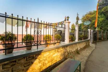 Muscatel Nirvana @Mall Road