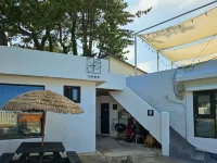 고성 스테이나루 화진포 소나무 숲길 주변 호텔