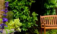 Hickstead Hotel Hotels in Burgess Hill