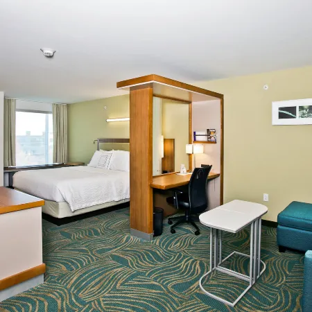 SpringHill Suites Mobile
