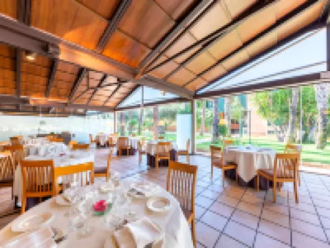 Port Jardín Milenio Hotels in Elche