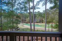 Charming Reynolds Condo; WALK TO THE RITZ; On Golf Course Hotels in Greene County