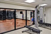 Tru by Hilton Deadwood - Gym