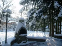 Newly renovated, detached vacation home, pets welcome Hotels in Falkenstein