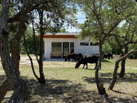 Cozy/Cute Tiny House close to wineries, wedding venues & outdoor fun Отели рядом с достопримечательностью «Ian's Chapel at Camp Lucy»