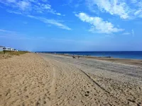 Serenity Amid it All. Dog friendly PET FEE, WiFi, outdoor shower, grill