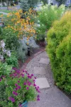 Lordship Charmer HAS IT ALL! Comfortable stay, accessible, family friendly! Hotels near Sikorsky