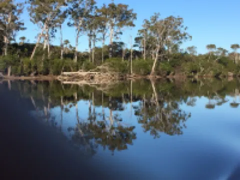 Wangrabell, on the Wallagaraugh River.