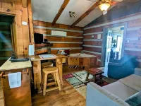 Cozy & Convenient Stone Mountain hideawy ... closest to the State Park! Hotels in Traphill