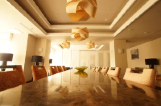 坦皮科機場歡朋飯店