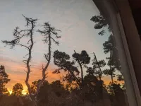 Cozy Coastal  Cottage.  Perfect couple Getaway.