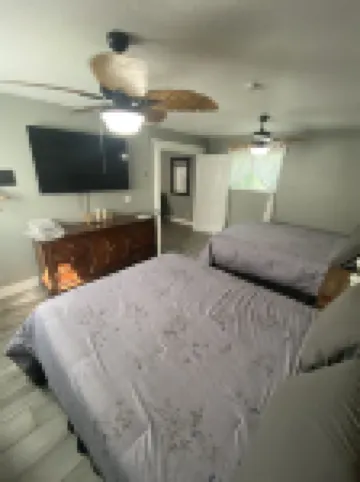 Private 2.5-Acre Retreat with Lush Palms, Pool, Play Train & Tortoises