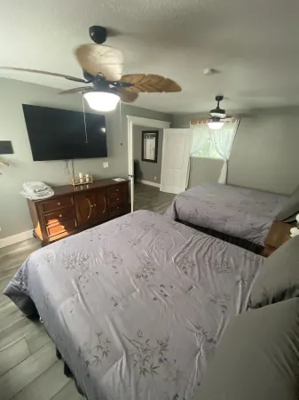 Private 2.5-Acre Retreat with Lush Palms, Pool, Play Train & Tortoises