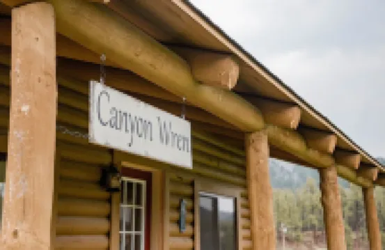 Welcome to Canyon Wren!