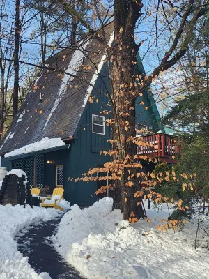 Lake George Chalet - The Pines Chickadee #29 Отели рядом с достопримечательностью «Long Island»