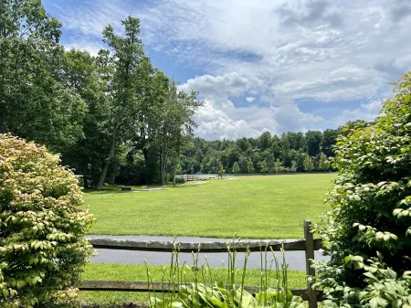 Amazing Whimsical Mtn Cabin! Pet Friendly, Hot Tub, Fireplace, Winery, Skiing