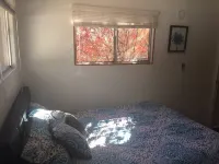 Shirley Creek Mountain Oasis: Special Discounts!