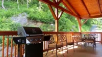 The Treetop Terrace, VIEWS, DECKS, SLEEPS 13