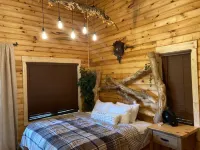 Treehouse cabin-unique stay-convenient location yet very secluded atmosphere