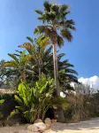 House by the sea, private pool, sea view, roof terrace, air conditioning, WLAN, sep. Studio - Homestays