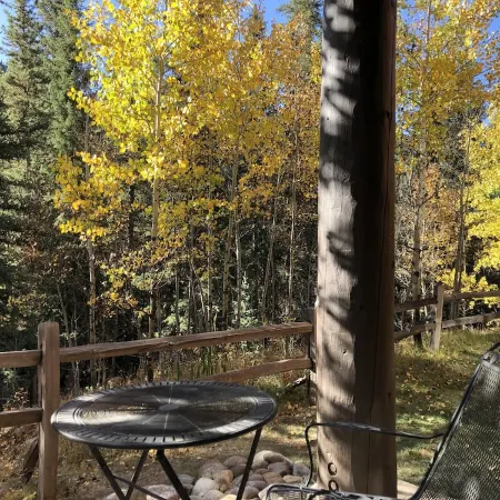 -Recently Remodeled- Condo in the Woods, On Resort Shuttle, close to River Run!