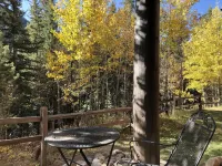 -Recently Remodeled- Condo in the Woods, On Resort Shuttle, close to River Run!