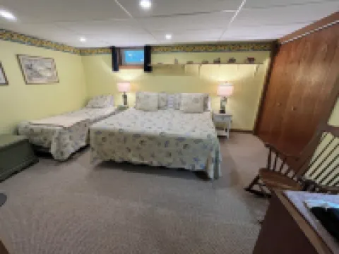 Peaceful Basement Apartment among serene woods, paths, and a stream near Acadia Hotels in Mt Desert