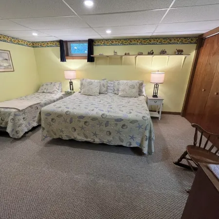 Peaceful Basement Apartment among serene woods, paths, and a stream near Acadia