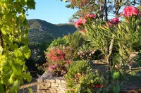 T2 on the ground floor in Provencal Bastide with swimming pool, in the heart of the Luberon Hotels in Castellet