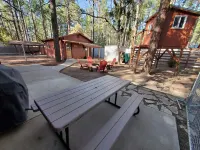 Comfy Cozy Forest Home/ Rainbow Lake Neighborhood