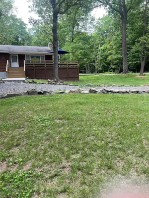 Cozy retreat in the woods