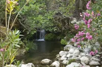 'LA POZAILLA' HOUSE AND GARDENS IN NATURE