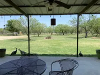 Hoegger’s Rustic Retreat is in the country with lots of wildlife & room to roam!