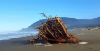 Pelican Point: Spacious Ocean View Home in Manzanita (MCA #200)