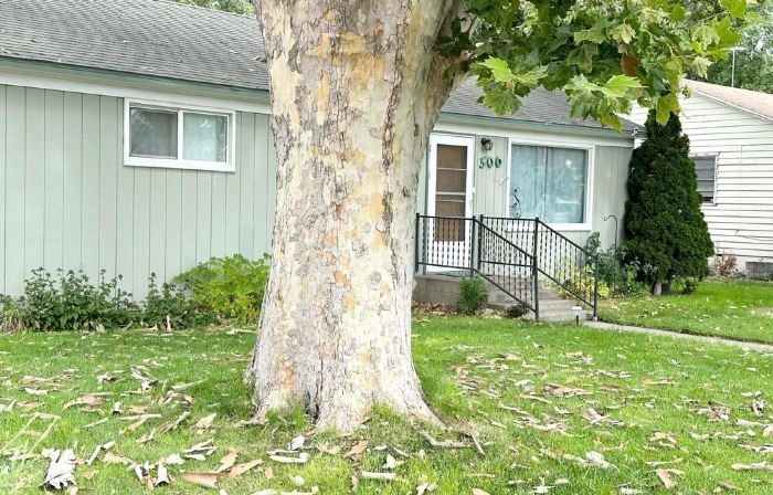 MicStay.Music House.Sleeps 9+.Private hot tub.Family Fun