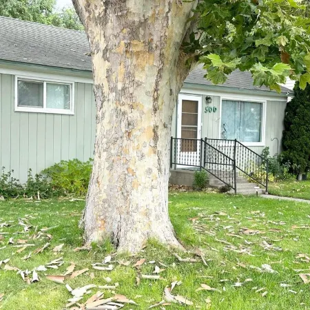 MicStay.Music House.Sleeps 9+.Private hot tub.Family Fun