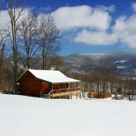 ✧Classic Cabin- NO CLEANING FEE