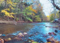 Creekside Cottage Next to Knoebels Amusement Resort. Large Yard, Fire Pit, Patio