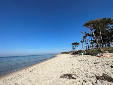 Apartment 4 mit Großem Balkon