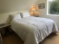 Ocean Views Mendocino Beach House Path directly to the Beach!