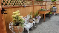Escape to the Creekside Hideaway New Dungeness Lighthouse附近的飯店