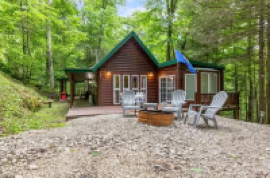 Fern Gulley Cabin with Hot Tub, Pet Friendly,  near DBBB / Hollerwood